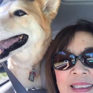 Meet your Posher, Sharon